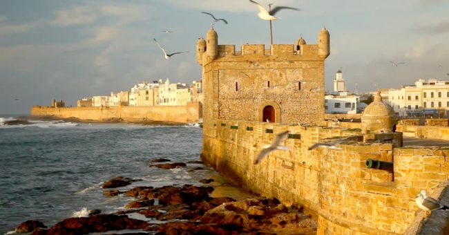essaouira excursion17
